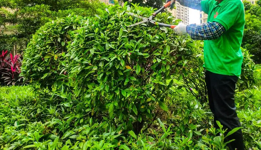 金年会:智慧城市四方伟业是哪四方 金年会:智慧城市四方伟业是哪四方