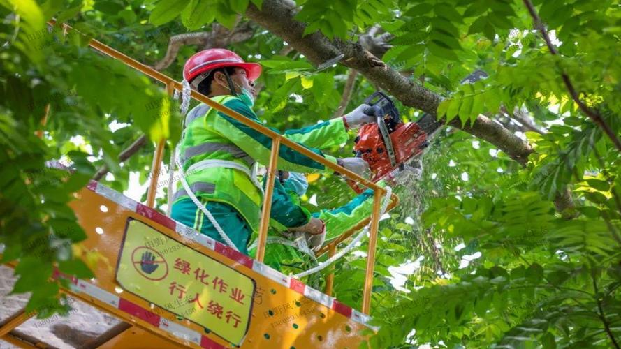 金年会金字招牌信誉至上:云南智能物流搬运机器人 金年会金字招牌信誉至上:云南智能物流搬运机器人